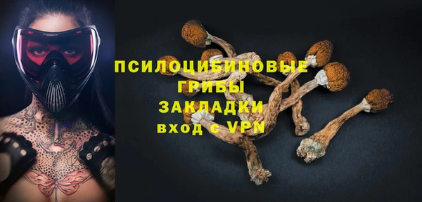 мяу мяу мука Белокуриха