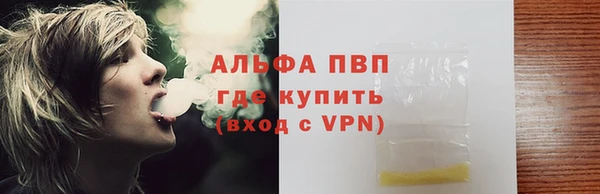 мяу мяу мука Белокуриха