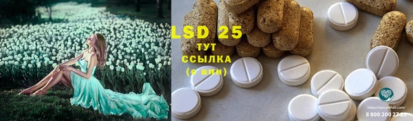 мяу мяу мука Белокуриха