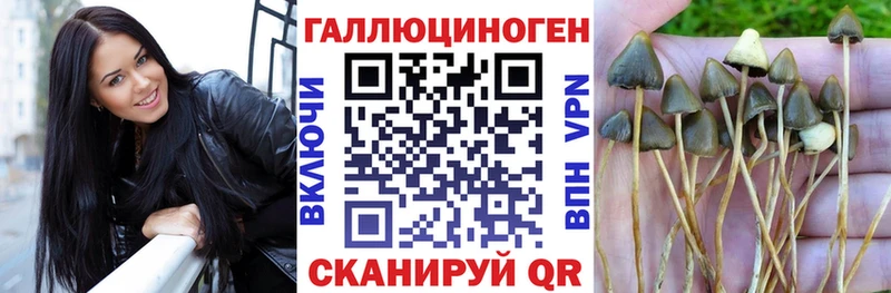 Купить  Трубчевск  Галлюциногенные грибы мухоморы 