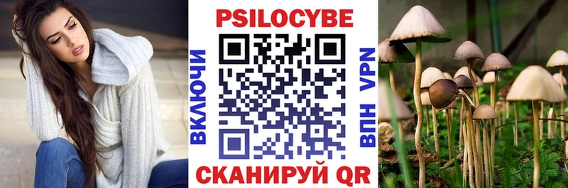 Псилоцибиновые грибы ЛСД Трубчевск